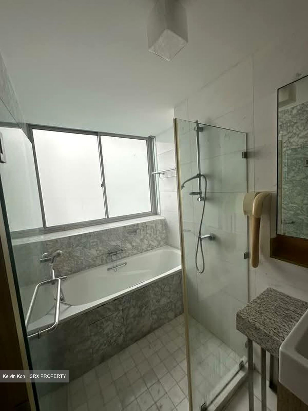 Gardenvista (D21), Condominium #574219301